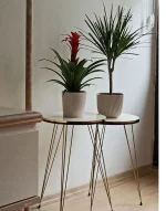 Set masuta de cafea,Seria 440,Homs, 3 buc,20035 - imagine 10