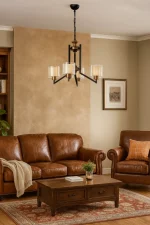 Lustra alb-negru, homs ro,40033